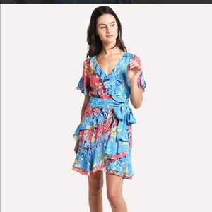 Tanya Taylor Dress
